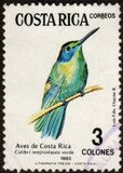 [Birds, type AET]