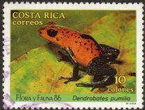 [Flora and Fauna - Bats and Frogs, Tipi AHS]