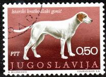 [Dog Breeds, type BDN]