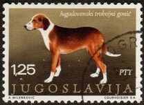 [Dog Breeds, type BDO]