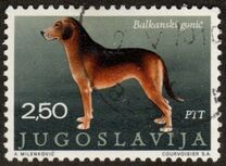 [Dog Breeds, type BDQ]