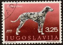 [Dog Breeds, type BDR]