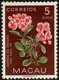[Indigenous Flowers, type CK]