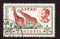 [Ethiopian Fauna, タイプ MK]