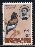 [Birds, type MW]