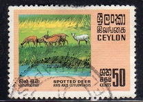 [Wildlife, type GD]