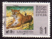 [Wildlife, type GE]