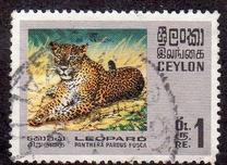 [Wildlife, type GE]