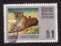 [Wildlife, type GE]