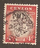 [Local Motifs, 类型 CD]