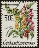 [Flowers, Tip CQN]