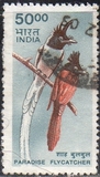 [Wildlife, type BJC]
