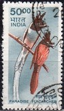[Wildlife, type BJC]