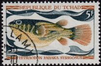 [Fish, tegund HQ]