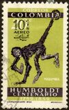 [Airmail - Overprinted "AEREO" or Surcharged, Typ ABS]