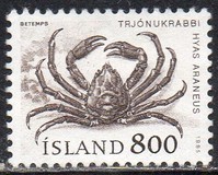 [Marine Life, 유형 OS]