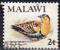 [Birds, type FN]