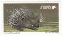 [Wild Mammals, type HP]