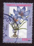 [Flowers - Crocuses, type CTI]
