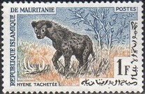 [Animals, タイプ CM]