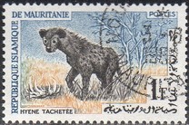 [Animals, タイプ CM]