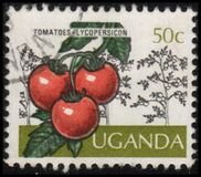 [Cultivos de Uganda., tipo BJ]