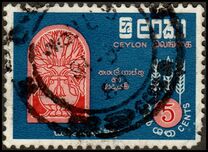 [Fight Against Hunger, type DR]