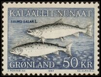 [Salmons, Scrivi CG]
