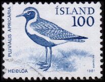 [Birds - Wren, Golden Plover and Raven, type MF]