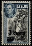 [No. 246 & 249 Surcharged, type BS1]