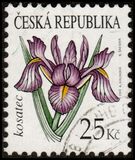 [The Beauty of Flowers, tipas XQ]