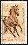 [Horses - Chlumetzer Dun & Chlumetzer Palomino, Tip ACV]