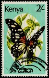 [Butterflies, type PE]