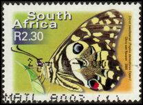 [Fauna and Flora - Butterflies, Tipe ATC]