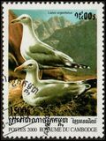 [Sea Birds, 类型 BTZ]