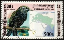 [Birds, प्रकार BWG]