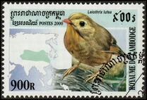 [Birds, प्रकार BWH]
