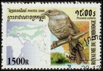 [Birds, प्रकार BWJ]