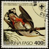 [Birds -The 200th Anniversary of the Birth of John J. Audubon, type BH]