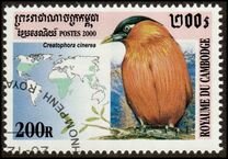 [Birds, प्रकार BWF]