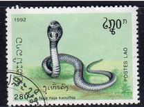 [Snakes, tipas AXN]
