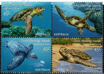 [Turtles, tip OR]
