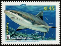 [Cocos Island Reef Sharks, 类型 PG]