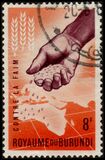 [Freedom from Hunger, τύπος AN1]