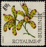 [Flowers, տեսակ EW1]