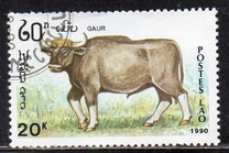 [Mammals, タイプ AUG]