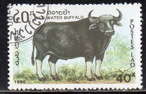 [Mammals, タイプ AUH]
