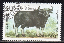 [Mammals, タイプ AUH]