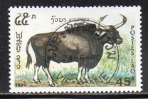 [Mammals, タイプ AUI]