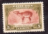 [Fauna, type XHL]